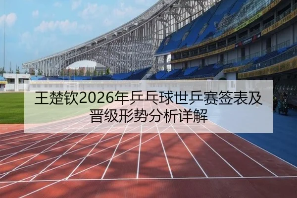 王楚钦2026年乒乓球世乒赛签表及晋级形势分析详解